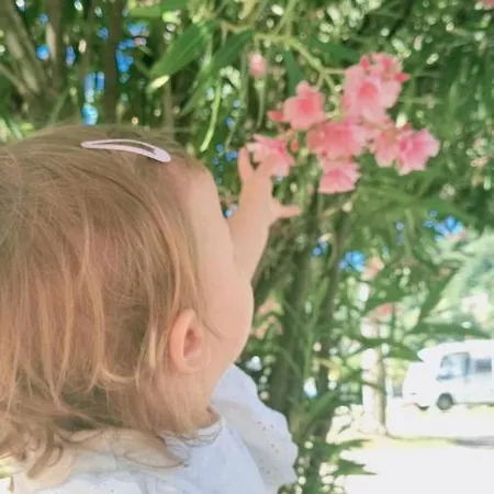 Campeggio Solcio Lesa